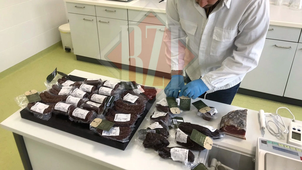 Senzațional! Cu ce va putea fi înlocuită carnea de porc! Specialiștii de la Universitatea de Științele Vieții din Iași testează carnea de muflon, în premieră pentru România