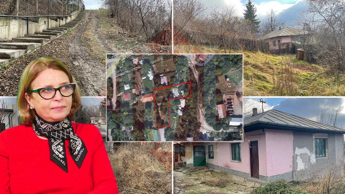 Milionara Doina Cepalis vrea să tragă un tun cu un teren din centrul Iașului! Blocuri de locuințe colective, printre casele de lângă Penitenciar. Proprietarii de vile vor fi sufocați de noua investiție - FOTO