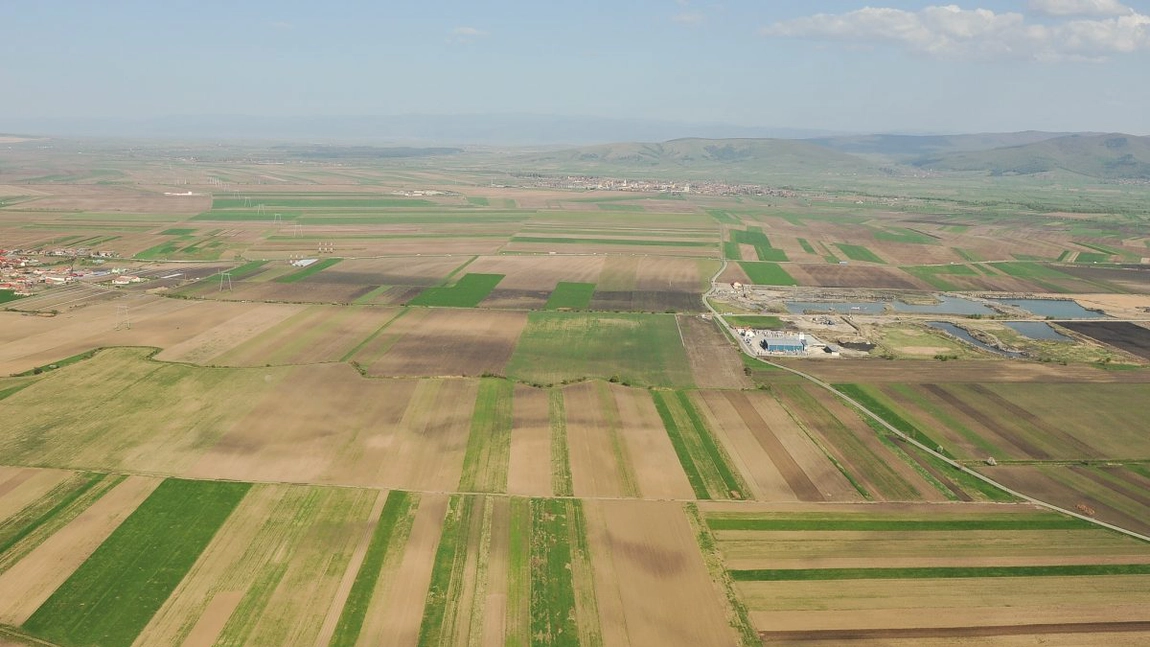 Drama cu care se confruntă agricultura din România! Țara exportă toată recolta, iar bugetul pierde miliarde de euro