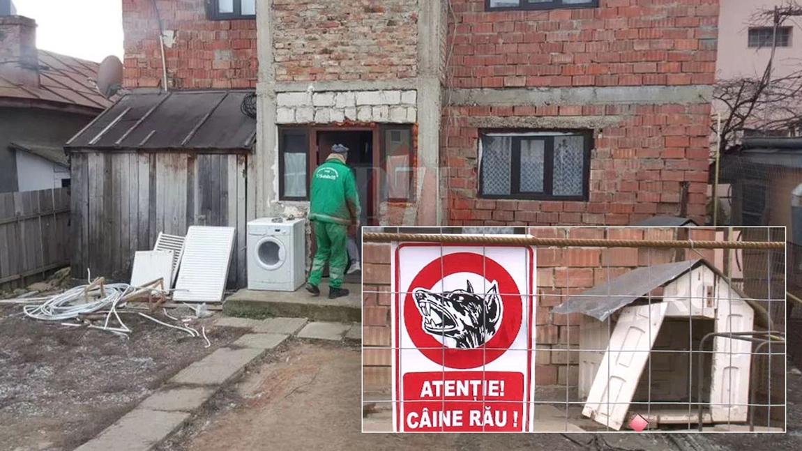 O femeie din Iași care și-a lăsat câinii de luptă liberi pe stradă a primit o amendă-record și a rămas fără animale. Peste 15.000 de lei are de scos din buzunar! GALERIE FOTO / VIDEO