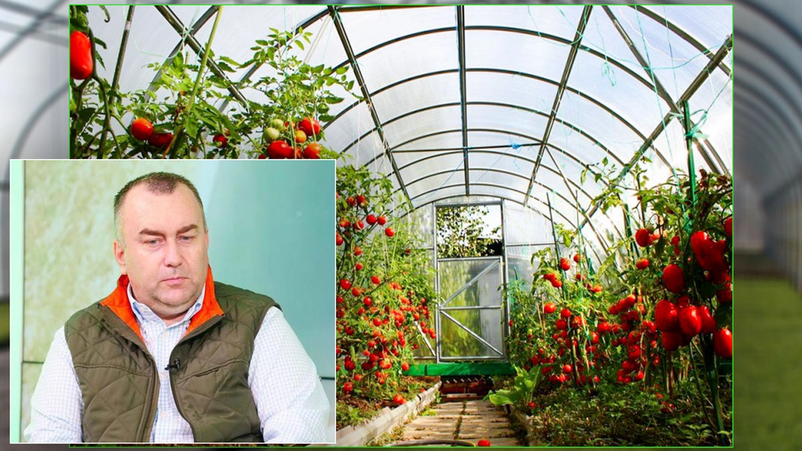 Întâlnire la Direcția Agricolă cu reprezentanții asociațiilor legumicole din Iași. Iată ce culturi vor fi eligibile la finanțare în programele derulate în anul 2022!