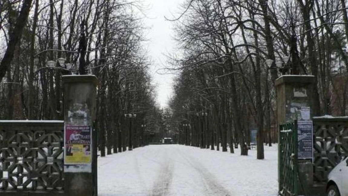 Scrisoarea unei ieșence: „Opriți masacrarea parcului Copou”