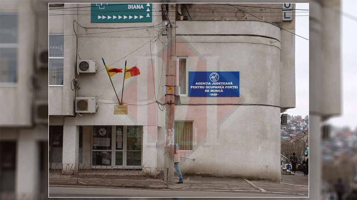 Ieșenii care vor să se angajeze în această perioadă au la dispoziție 367 de posturi vacante. Cele mai multe locuri de muncă sunt în domeniile construcții și servicii
