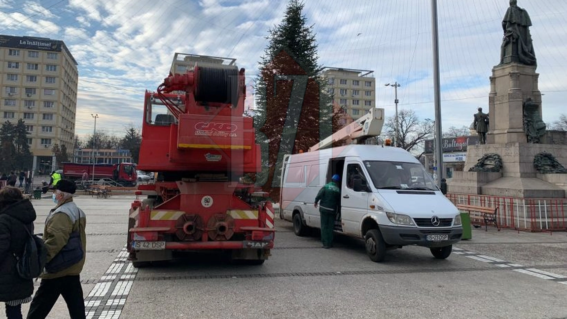Brazii din Iași sunt despodobiți. Angajații Serviciilor Publice îi vor prelua din principalele centre de cartier ale orașului - FOTO