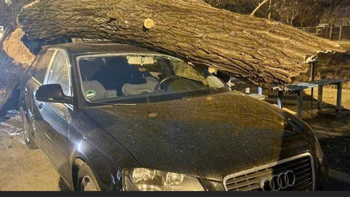 Rafalele de vânt au creat pagube la Iaşi. Un copac s-a rupt şi a căzut peste un autoturism marca Audi - EXCLUSIV, FOTO