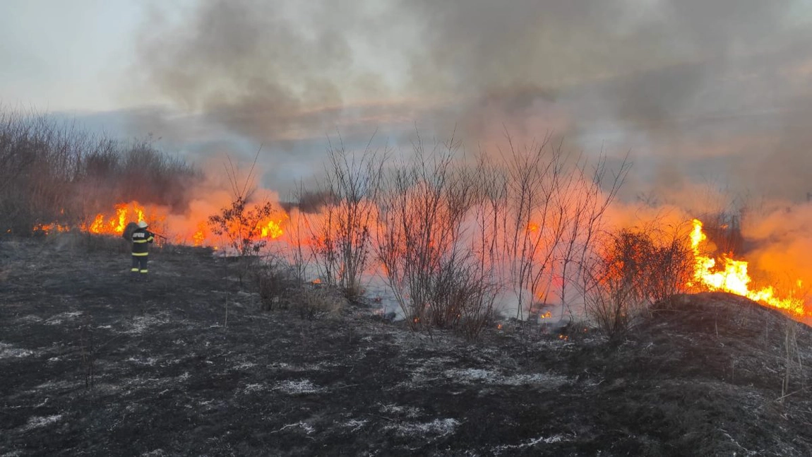 Incendii de vegetaţie uscată în judeţul Iaşi. Pompierii intervin în forţă - EXCLUSIV, FOTO