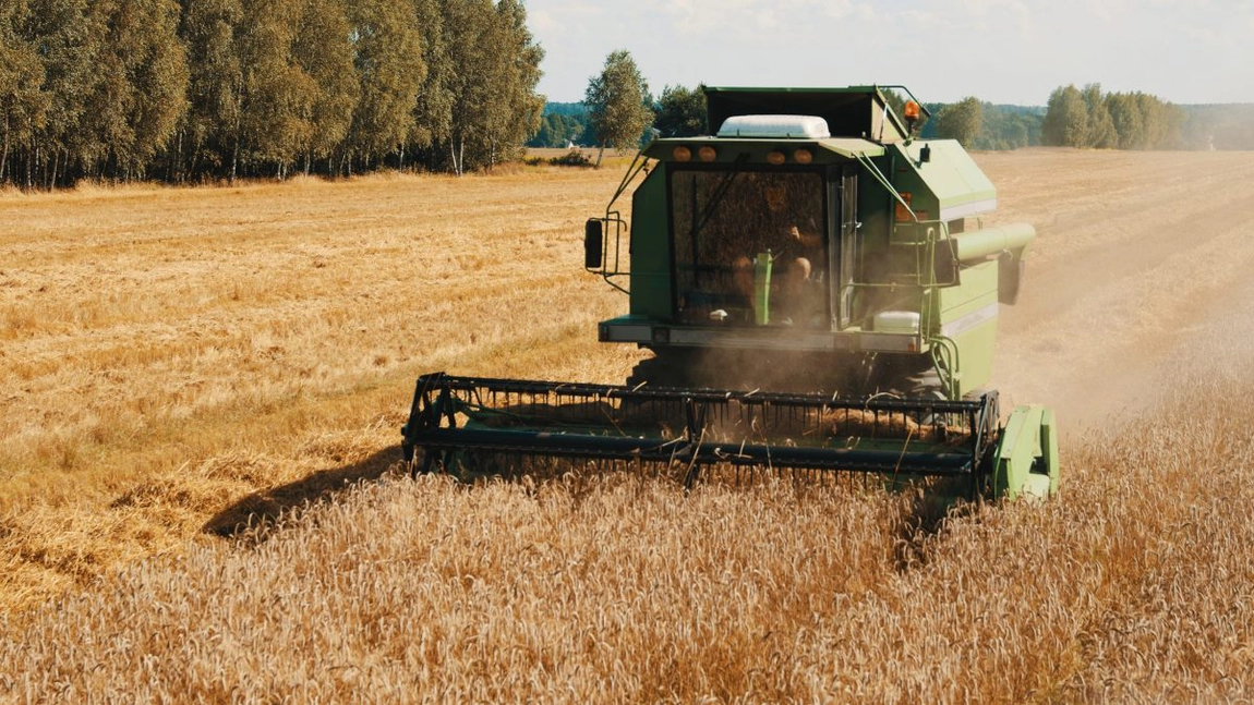 România a devenit grânarul Europei! Este cel mai mare exportator de grâu din Uniunea Europeană