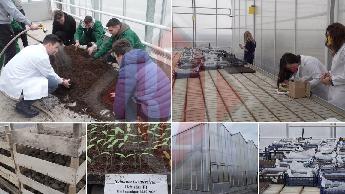 Incursiune într-un laborator din Iași, unde sunt produse cele mai dorite alimente! Imagini și filmări spectaculoase! - GALERIE FOTO, VIDEO