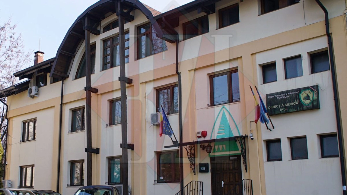 Direcția Silvică Iași comandă lucrări de împădurire! Valoarea contractului este de 200.000 de euro