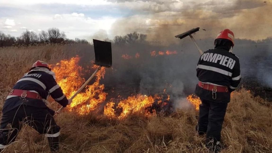 Incendiu de vegetație în comuna Tomești. Două autospeciale de pompieri intervin - EXCLUSIV, UPDATE, FOTO