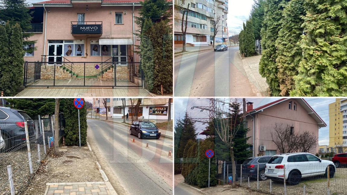 Un proprietar din CUG a confiscat domeniul public și a plantat pomi! Mircea Cazacu: ”Au venit de la Primărie și le-a plăcut” - FOTO