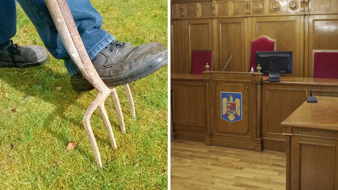Angajat al unui spital din Iaşi, condamnat din cauza ierbii! Ieşeanul nici nu şi-a dat seama că face o infracţiune