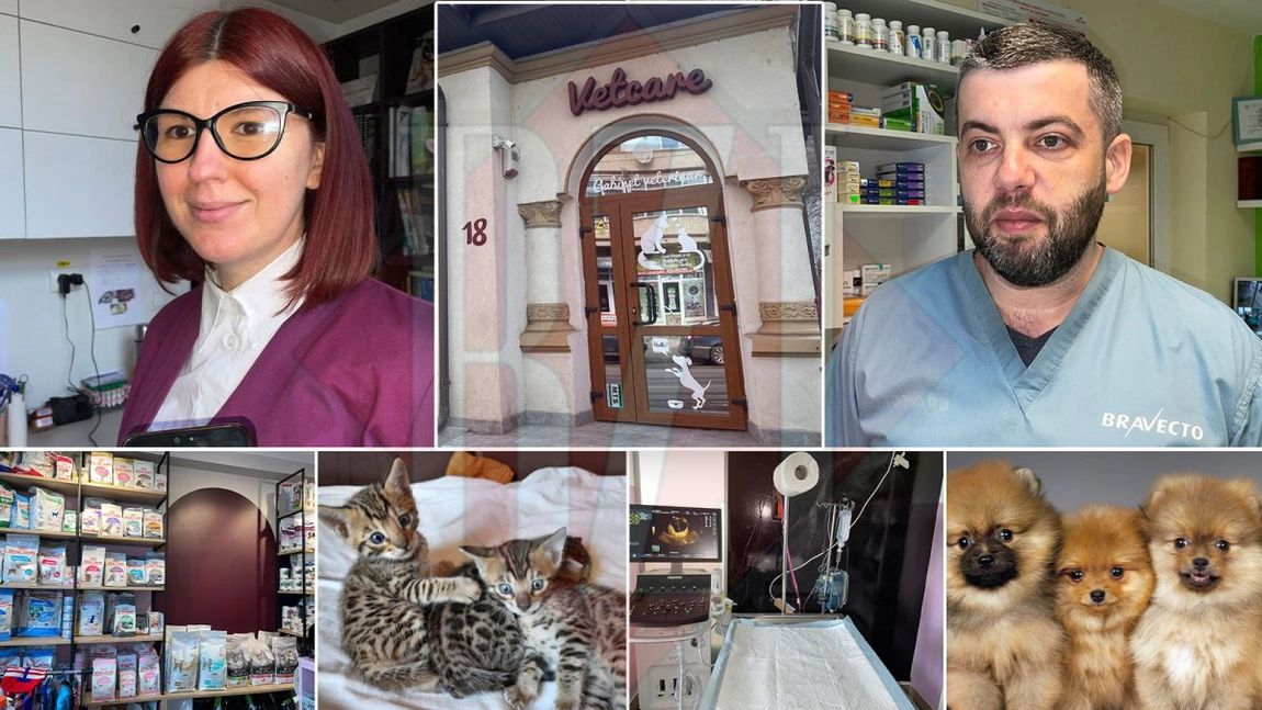 Cabinetele veterinare din Iași, aglomerate cu pisici bengaleze și câini din rasa Pomeranian! Animalele de companie sunt întreținute lunar cu mii de euro-FOTO