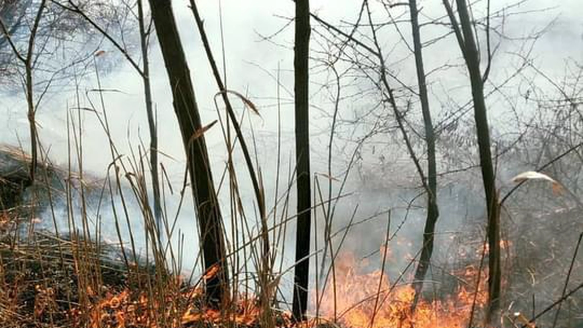 Incendii de vegetație în Schitu Duca. Pompierii intervin de mai bine de jumătate de oră pentru a lichida flăcările - EXCLUSIV, UPDATE, FOTO, VIDEO