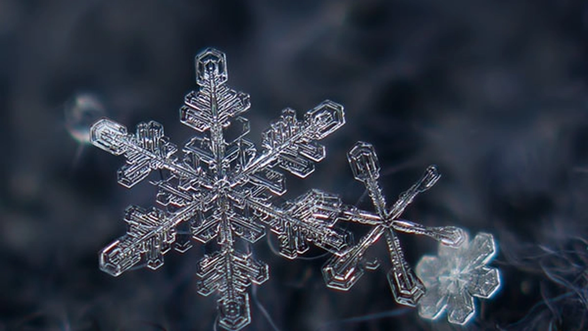 Cum arată un fulg de nea la microscop: Iată ce detalii impresionante poate avea