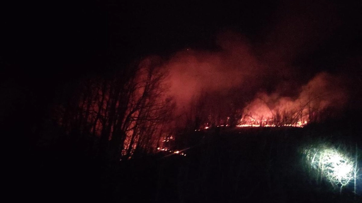 Incendiu într-o localitate din Gorj. Satul arde de mai multe zile, iar pompierii nu au suficiente efective să stingă flăcările