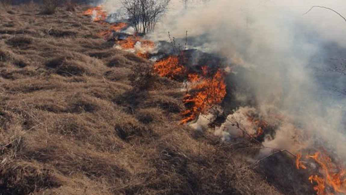 Fiți responsabili! Stop incendiilor de vegetație uscată! - GALERIE FOTO, VIDEO