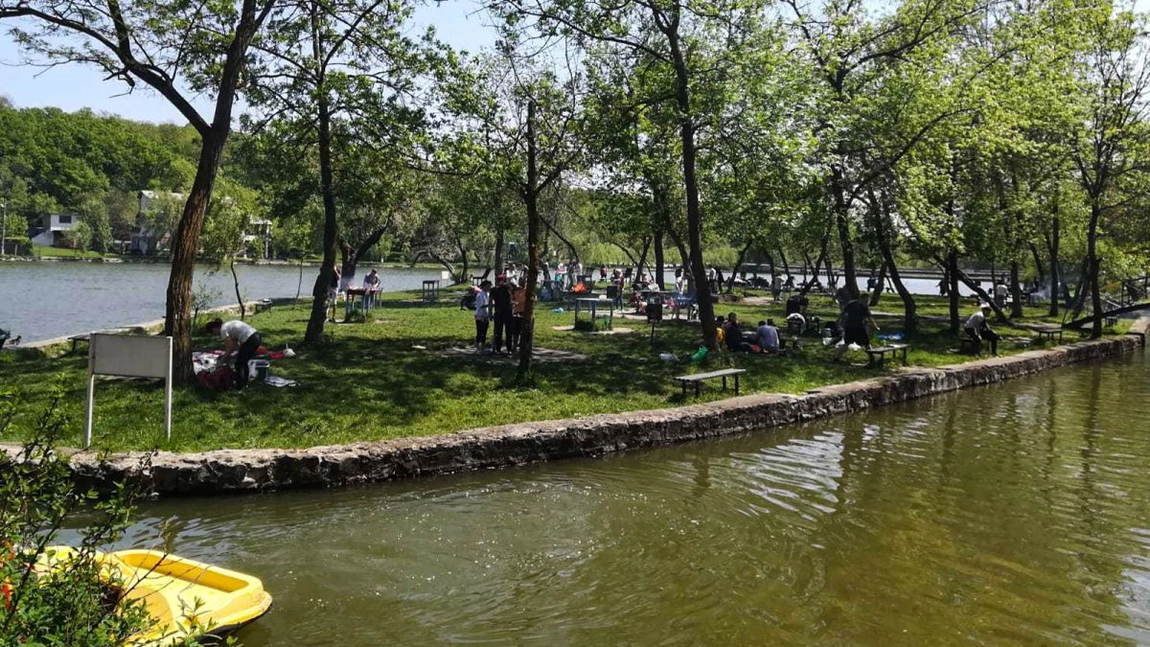 Pădurea Ciric poate deveni rezervație naturală! Parc urban la marginea Iașului