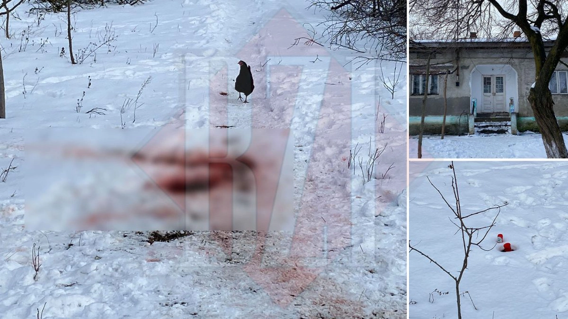 Un ieșean care și-a decapitat mama cu toporul, trimis în judecată. A ucis-o pentru că ”avea șerpi pe ea”! GALERIE FOTO / VIDEO