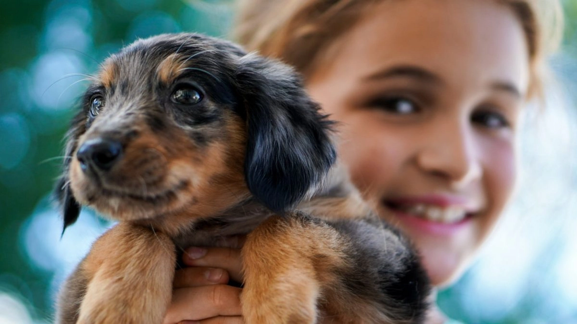 Nume de cățelușe cu personalitate. Sfaturi de urmat în alegerea denumirii patrupedului