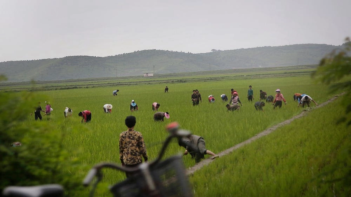 Modalitatea unică a lui Kim Jong Un de a combate seceta din Coreea de Nord. Ce le-a făcut Phenianul funcționarilor guvernamentali
