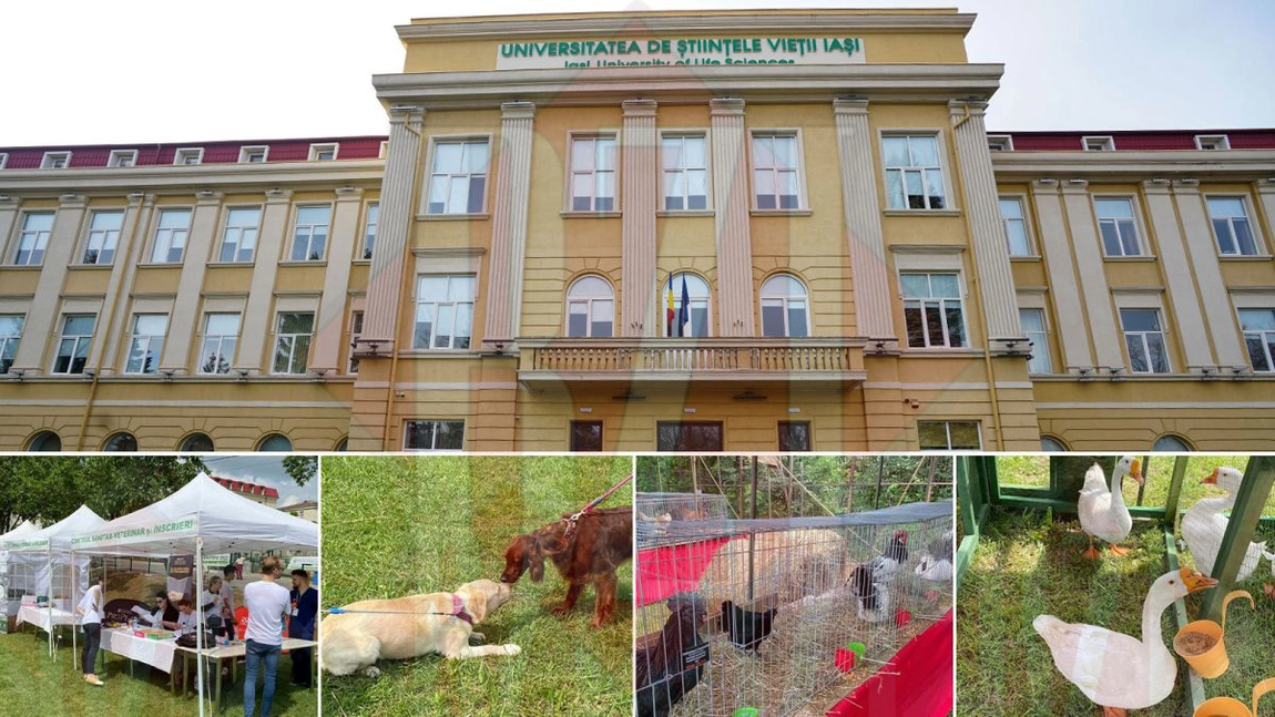 „Animal Fest by USV Iaşi”, ediția 2022, primul PetEvent pentru întreaga comunitate iubitoare de animale