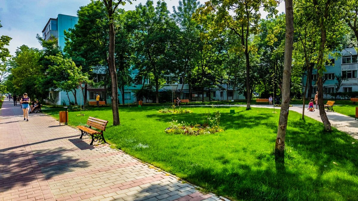 Primăria Iași cheltuie 75.000 de euro pe semințe de gazon! Firma de întreținere spații verzi va amenaja parcurile din oraș