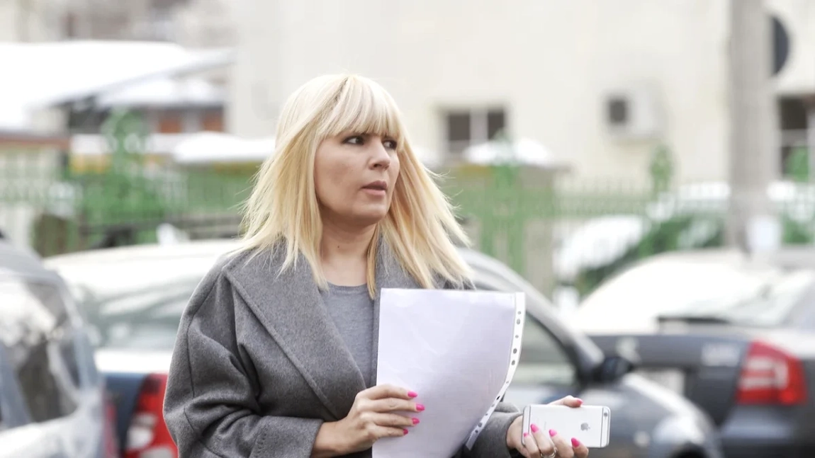 Lovitură pentru Elena Udrea! Consiliul Local din municipiul Drobeta Turnu Severin a luat decizia