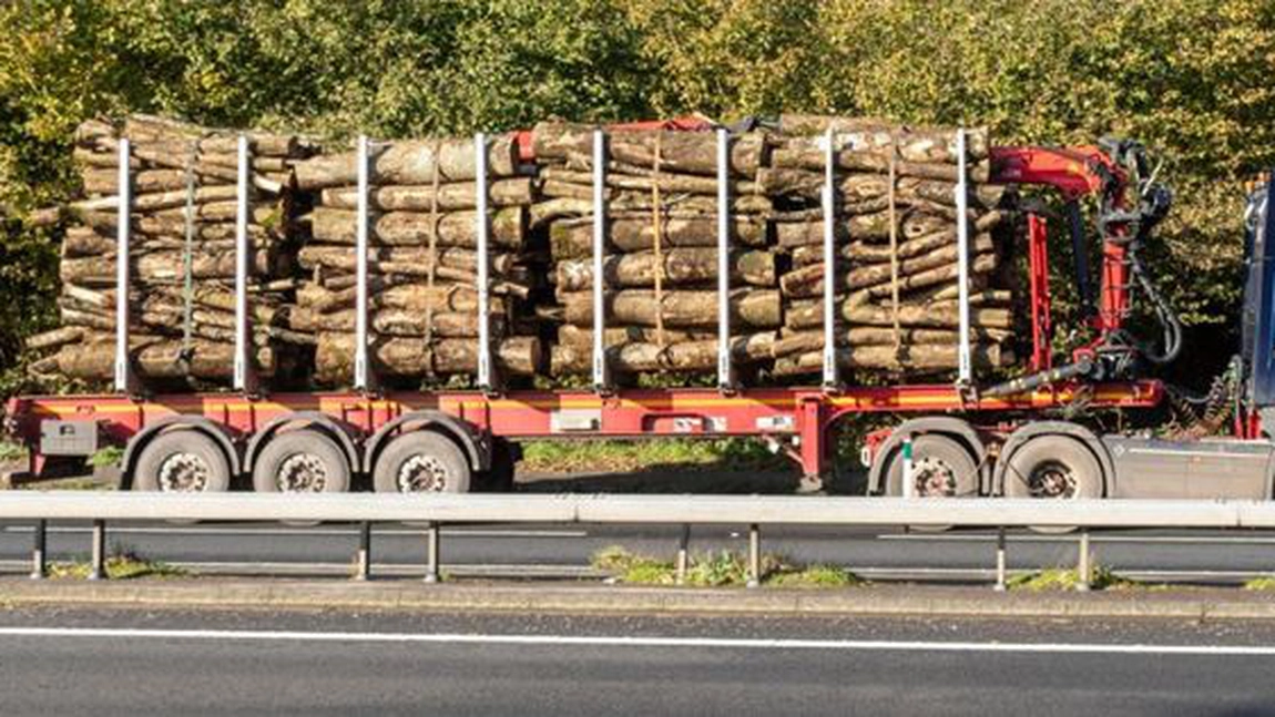Transport de lemn ilegal, deconspirat la Iași! Aveau cherestea de peste 10.000 de lei