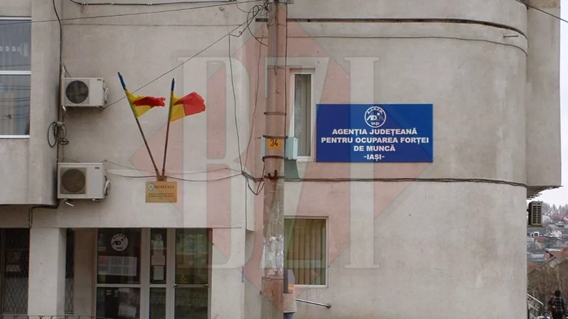 Peste 60 de companii își vor prezenta ofertele Bursa Generală a Locurilor de Muncă, la Iași și Pașcani