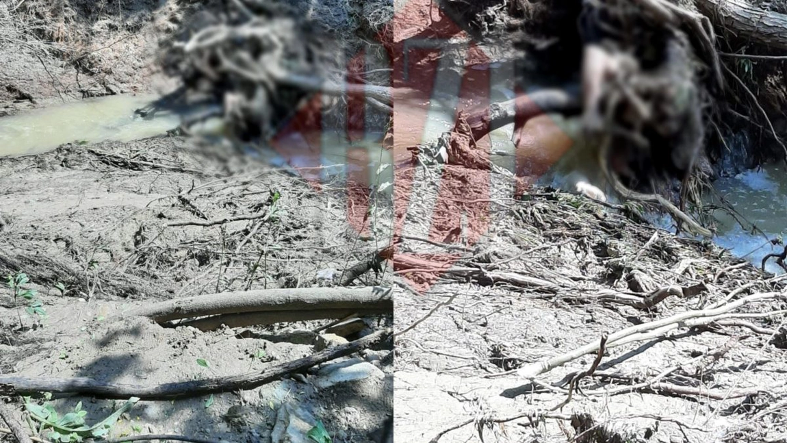 Bărbatul luat de viitură la Pocreaca a fost găsit decedat. Trupul neînsuflețit a ajuns într-o zonă abruptă - EXCLUSIV, FOTO