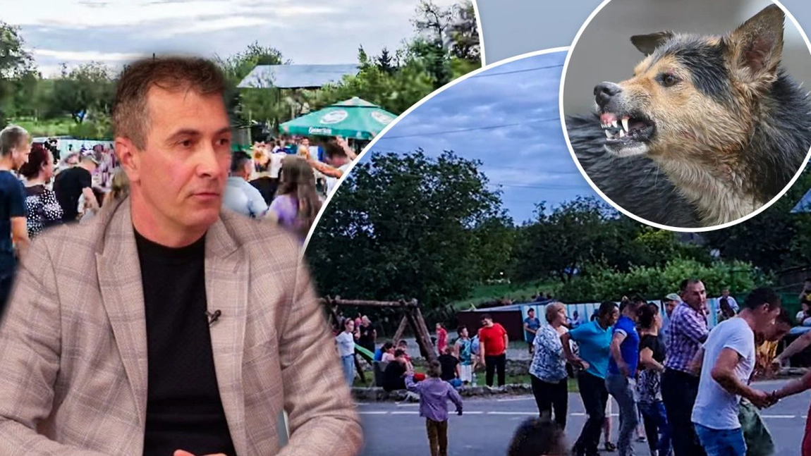Paranghelie la Dobrovăț, organizată de primar, în timp ce câinii fără stăpân umblă pe străzi și pun în pericol cetățenii! – VIDEO