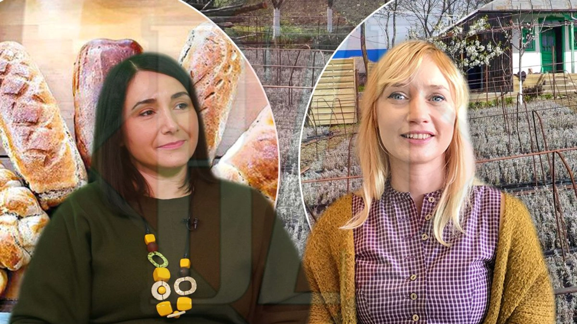 Pâinea cu lavandă, noua fiță a producătorilor ieșeni, are deja succes! „Se folosește lavandă comestibilă”