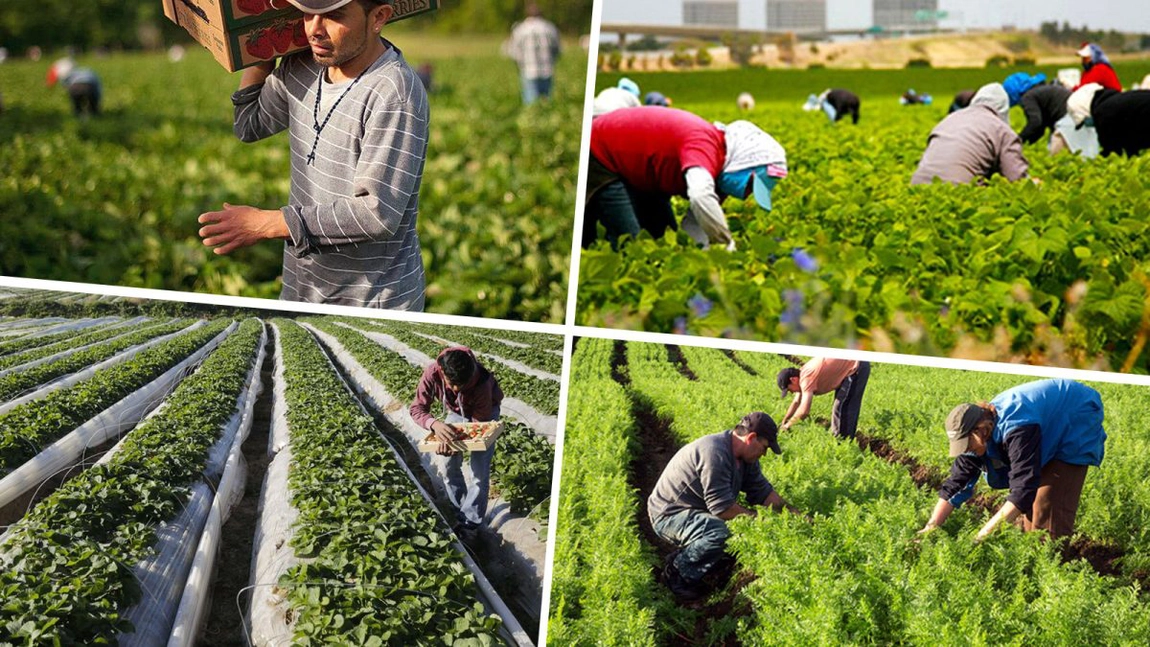 Se dau 100.000 de euro, bani pentru înființarea grupurilor de producători. Ieșenii pot depune proiecte din iulie 2022