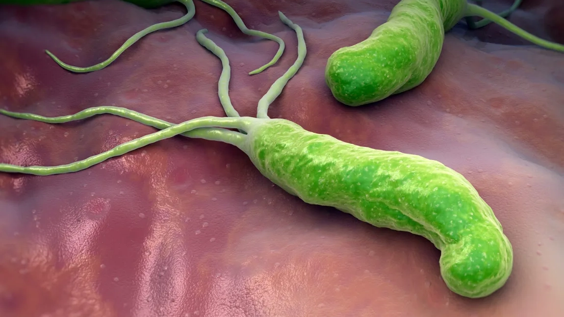 Antibiotice pentru helicobacter pylori. Terapia cu trei componente care te va ajuta să scapi de patologie