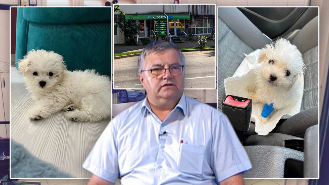 O ieșeancă a trecut prin clipe de coșmar și aduce acuzații grave unui cabinet veterinar din Iași! „Nu m-au anunțat când mi-a murit câinele!”