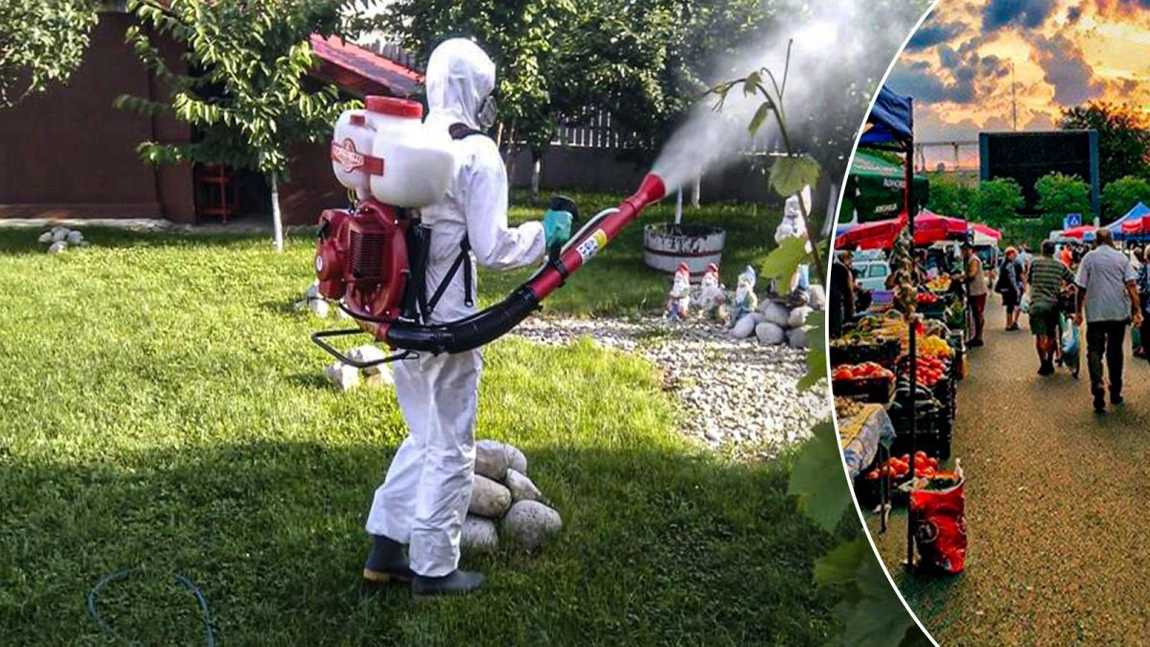 Începe programul acțiunilor de dezinsecție, deratizare și dezinfecție a piețelor agroalimentare din Iași. În ce zile vor fi închise acestea