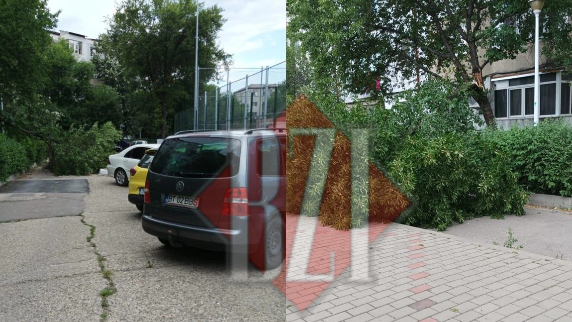 Stradă importantă din cartierul Alexandru cel Bun, blocată