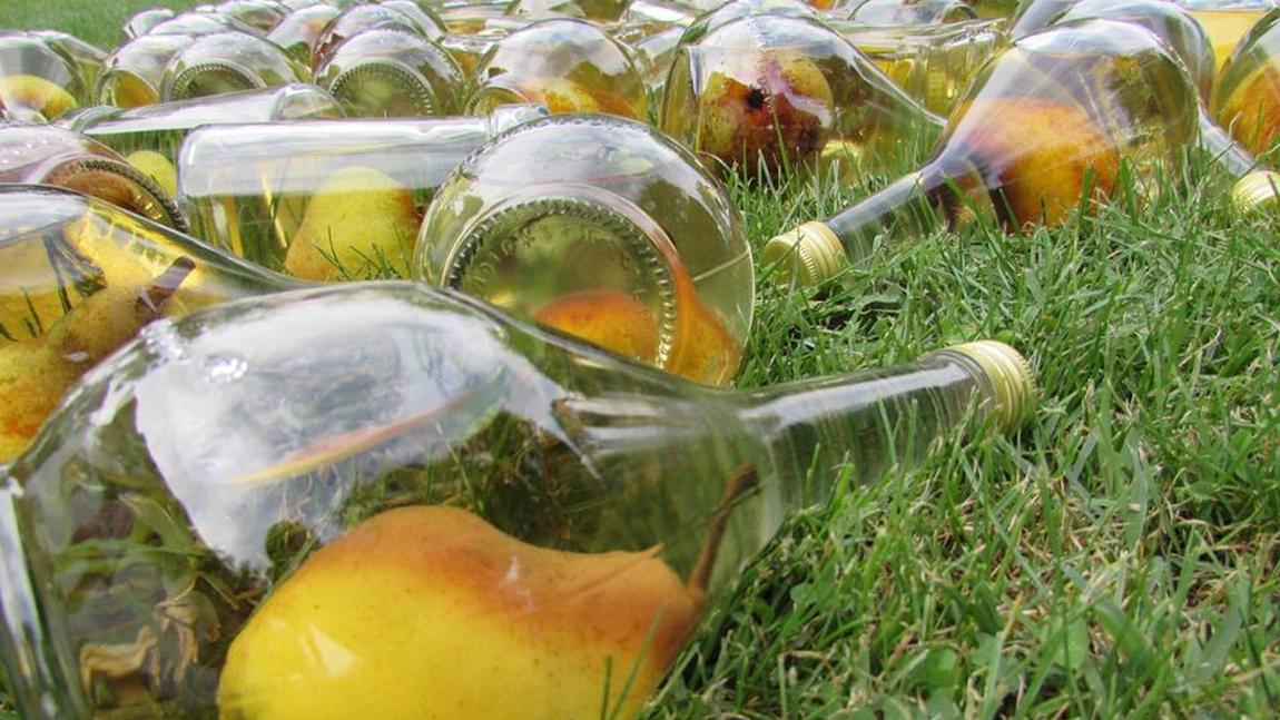 Țuica de pere. Mod de preparare și sfaturi de la specialiștii în domeniu