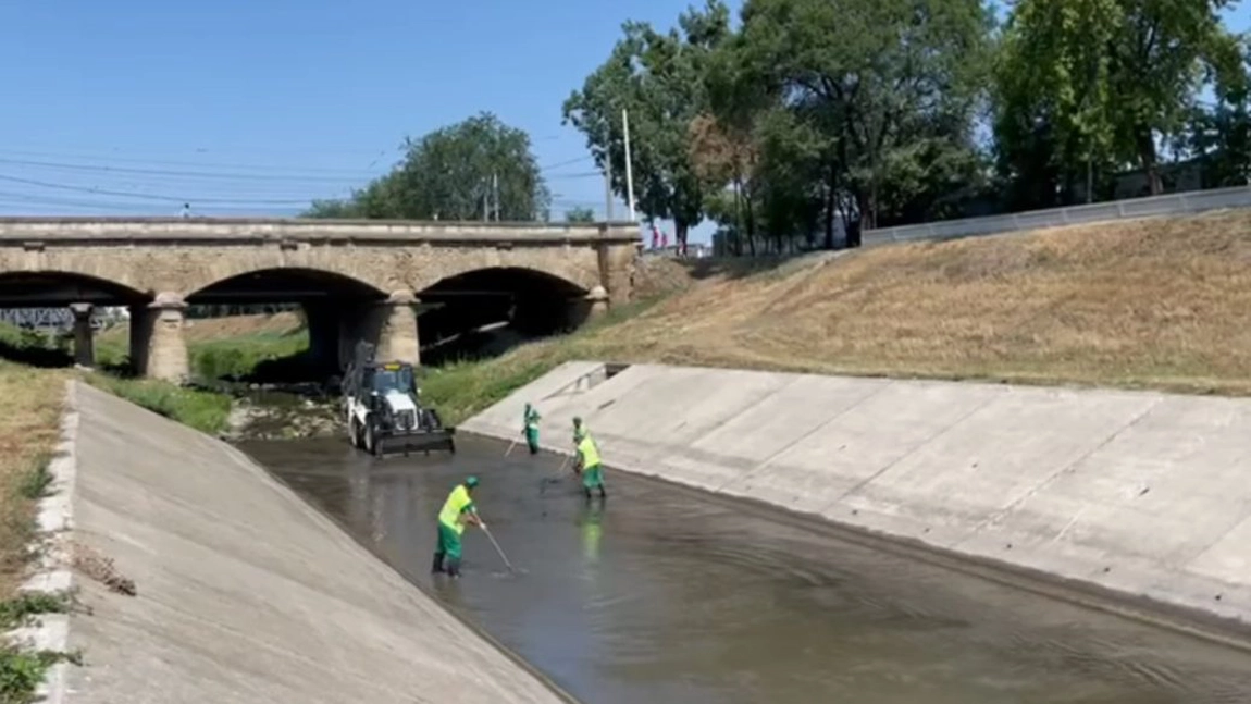 Echipele Salubris SA au efectuat lucrări de salubrizare a albiei râului Bahlui - VIDEO