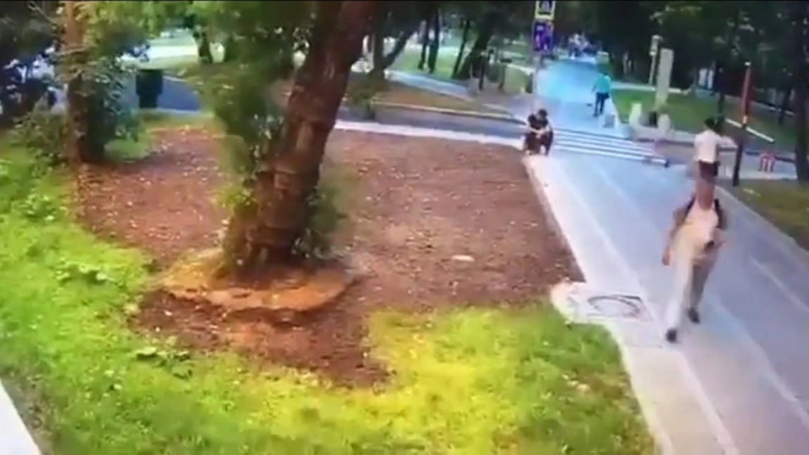 Un copac a căzut peste un bărbat şi l-a ucis. Totul s-a întâmplat la Moscova, pe Bulevardul Ucrainei - VIDEO