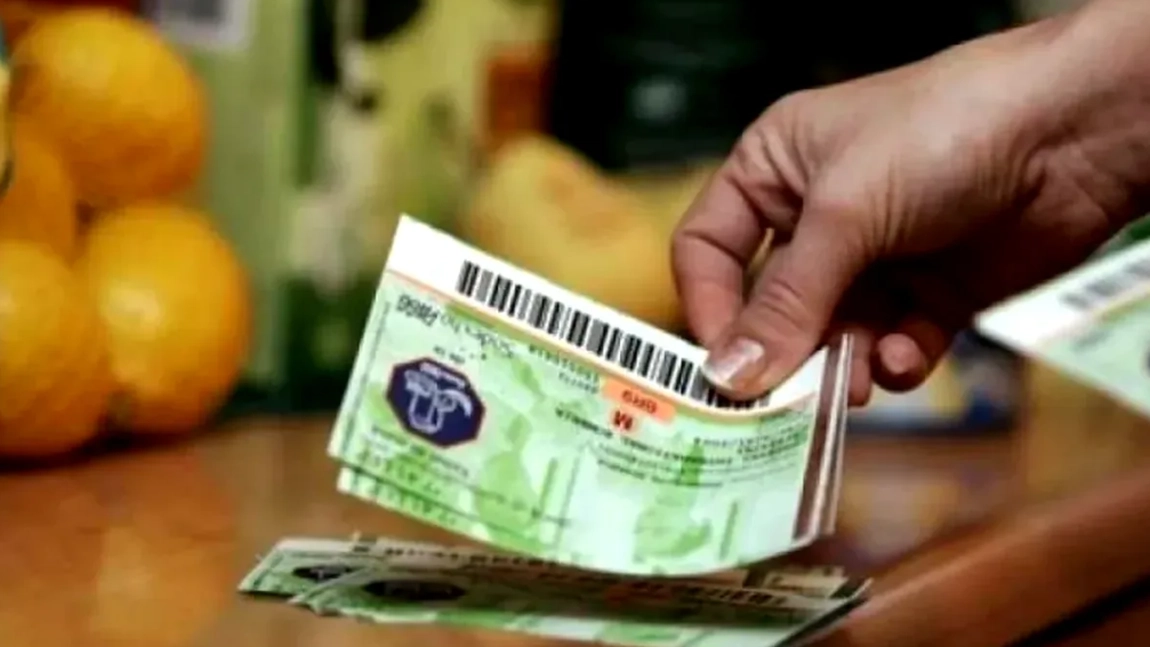 Categoria de români care ar putea primi tichete de activități casnice! Ce sunt acestea și când se eliberează