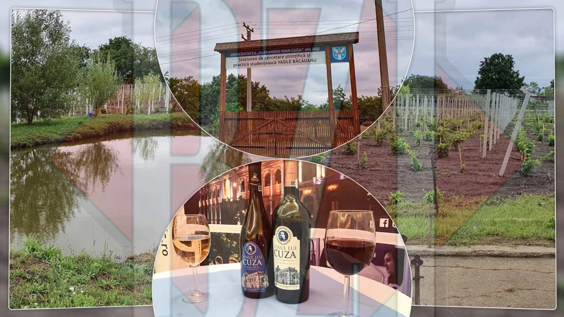 Final de investiție, într-un mediu natural superb al unui mare proprietar din Iași! – IMAGINI SPECTACULOASE, EXCLUSIV