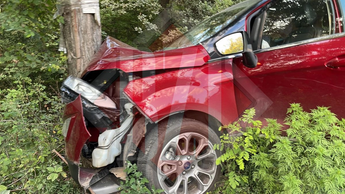 Un SUV înmatriculat în Italia a fost înfipt într-un copac la Bordea. Șoferul a ratat o curbă. Este o victimă - EXCLUSIV, FOTO, VIDEO