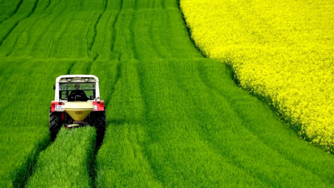 Agricultorii din România au dat lovitura cu acest fruct. Cât câștigă cu doar un hectar cultivat