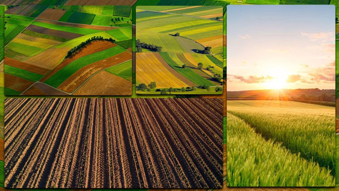Terenurile agricole din Iași s-au vândut cu prețuri cuprinse între 1.600 și 7.000 de euro pe hectar