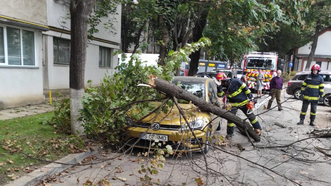 Un copac a căzut peste o mașină, în municipiul Iași. Pompierii intervin de urgență