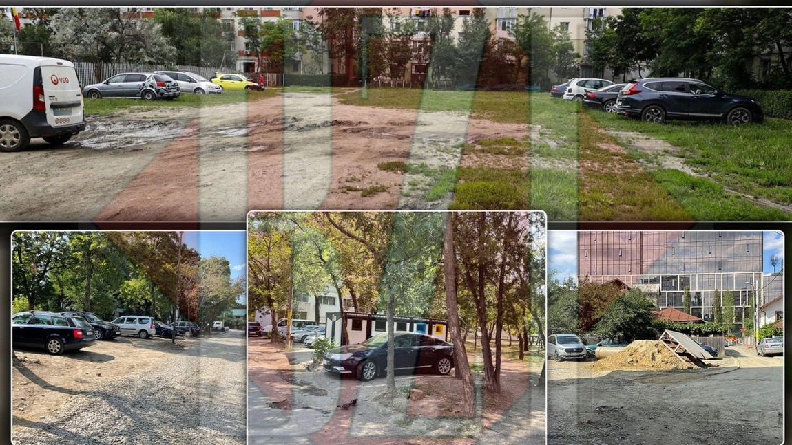 Peste 24 de mii de lei pentru amenajarea spațiilor verzi din spatele blocurilor din Iași! Se începe studiul de fezabilitate – GALERIE FOTO