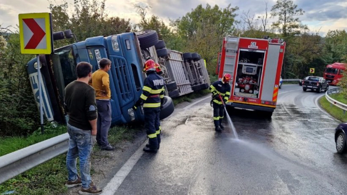 Un camion cu sute de oi, condus de un egiptean, s-a răsturnat în Vâlcea