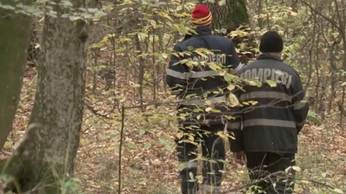 Dispăruţi peste noapte într-o pădure din Sălaj. Şase copii cu vârste cuprinse între 6 şi 12 ani, au pus echipele de căutare în impas